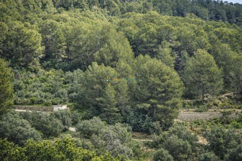 Villa a Alfauir, Valencia, Alfauir - € 130.000 | Ref: PNVL2169 - foto 16
